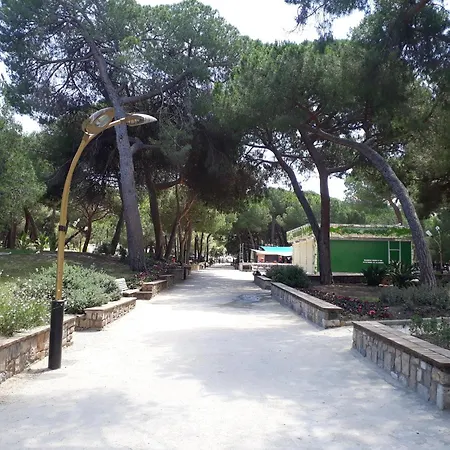 Le California T3 Antibes