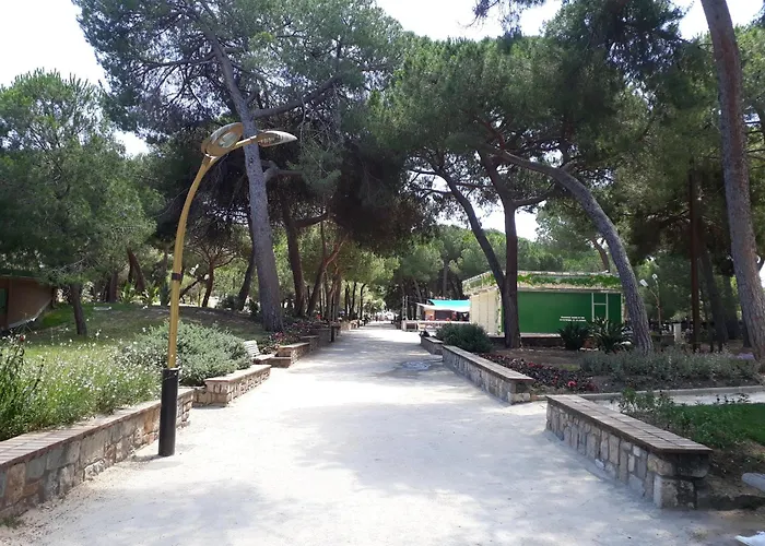 Le California T3 Antibes